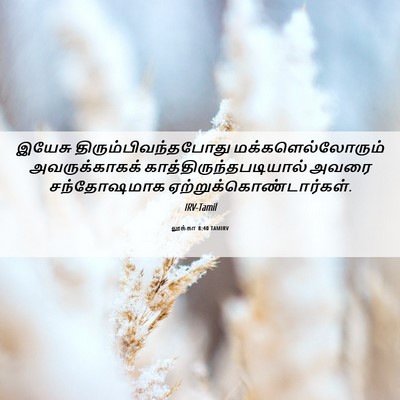 Picture 06 - லூக்கா 8:40 TAMIRV - இயேசு - Bible Verse Picture
