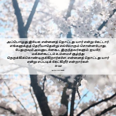 Picture 06 - லூக்கா 8:45 TAMIRV - அப்பொழுது இயேசு: - Bible Verse Picture