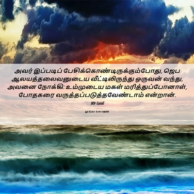 Picture 06 - லூக்கா 8:49 TAMIRV - அவர் இப்படிப் - Bible Verse Picture