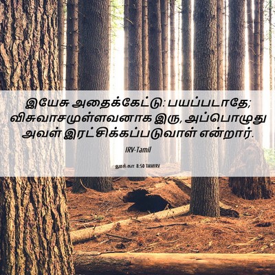 Picture 06 - லூக்கா 8:50 TAMIRV - இயேசு - Bible Verse Picture