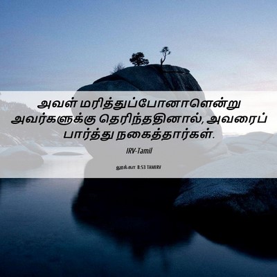 Picture 06 - லூக்கா 8:53 TAMIRV - அவள் - Bible Verse Picture