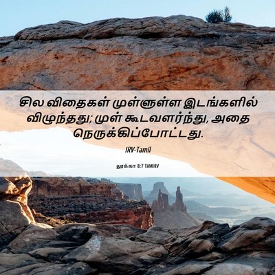 Picture 06 - லூக்கா 8:7 TAMIRV - சில விதைகள் - Bible Verse Picture