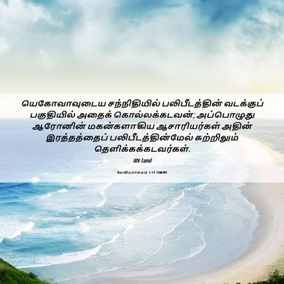 Picture 06 - லேவியராகமம் 1:11 TAMIRV - யெகோவாவுடைய - Bible Verse Picture