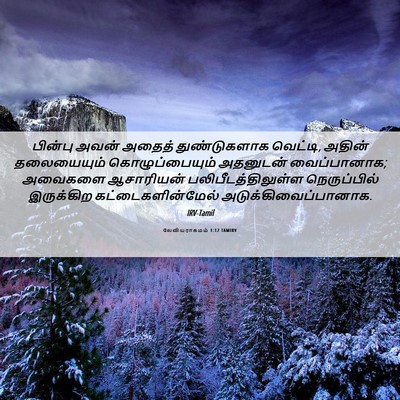 Picture 06 - லேவியராகமம் 1:12 TAMIRV - பின்பு அவன் அதைத் - Bible Verse Picture