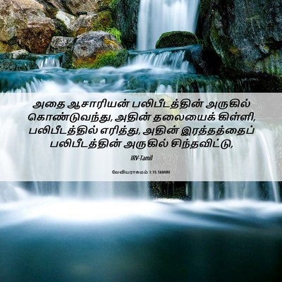 Picture 06 - லேவியராகமம் 1:15 TAMIRV - அதை ஆசாரியன் - Bible Verse Picture