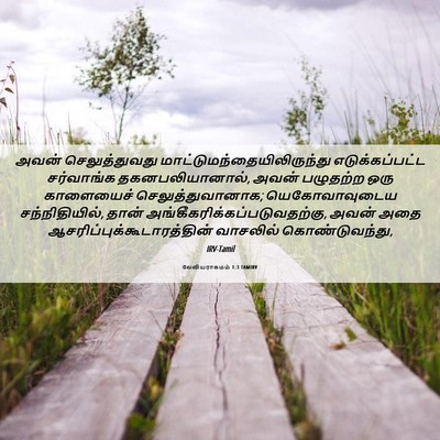 Picture 06 - லேவியராகமம் 1:3 TAMIRV - அவன் செலுத்துவது - Bible Verse Picture