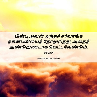 Picture 06 - லேவியராகமம் 1:6 TAMIRV - பின்பு அவன் - Bible Verse Picture