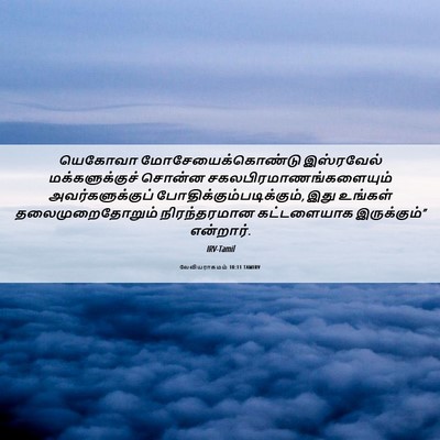 Picture 06 - லேவியராகமம் 10:11 TAMIRV - யெகோவா - Bible Verse Picture