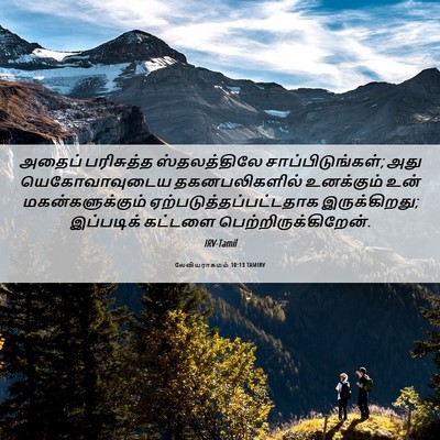 Picture 06 - லேவியராகமம் 10:13 TAMIRV - அதைப் பரிசுத்த - Bible Verse Picture