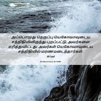 Picture 06 - லேவியராகமம் 10:2 TAMIRV - அப்பொழுது - Bible Verse Picture