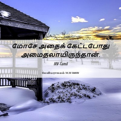 Picture 06 - லேவியராகமம் 10:20 TAMIRV - மோசே அதைக் - Bible Verse Picture