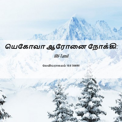 Picture 06 - லேவியராகமம் 10:8 TAMIRV - யெகோவா ஆரோனை - Bible Verse Picture