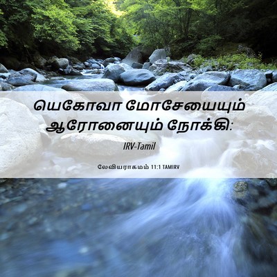 Picture 06 - லேவியராகமம் 11:1 TAMIRV - யெகோவா மோசேயையும் - Bible Verse Picture
