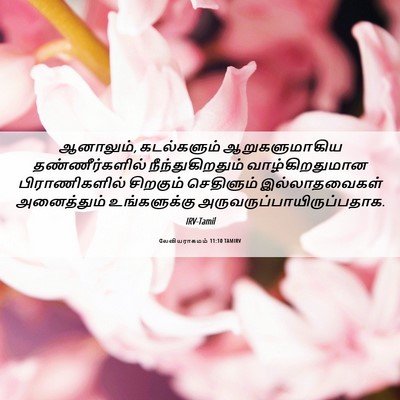 Picture 06 - லேவியராகமம் 11:10 TAMIRV - ஆனாலும், - Bible Verse Picture