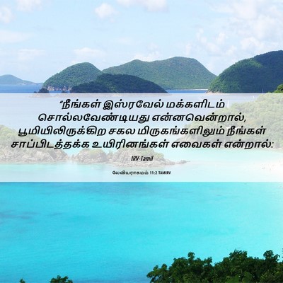 Picture 06 - லேவியராகமம் 11:2 TAMIRV - “நீங்கள் இஸ்ரவேல் - Bible Verse Picture
