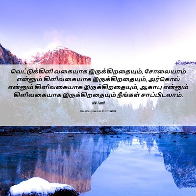 Picture 06 - லேவியராகமம் 11:22 TAMIRV - வெட்டுக்கிளி - Bible Verse Picture