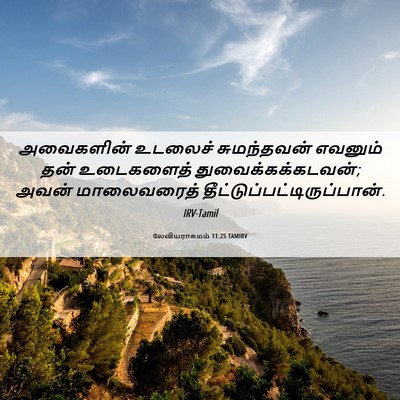 Picture 06 - லேவியராகமம் 11:25 TAMIRV - அவைகளின் உடலைச் - Bible Verse Picture