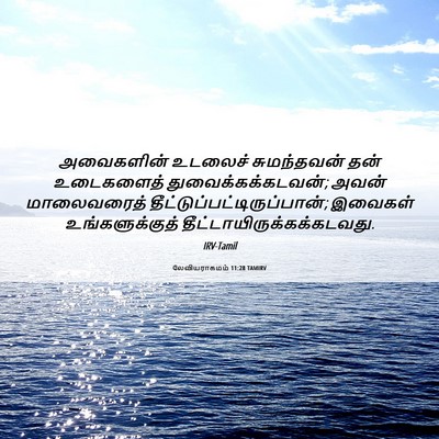 Picture 06 - லேவியராகமம் 11:28 TAMIRV - அவைகளின் உடலைச் - Bible Verse Picture