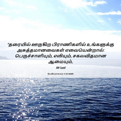 Picture 06 - லேவியராகமம் 11:29 TAMIRV - “தரையில் ஊருகிற - Bible Verse Picture
