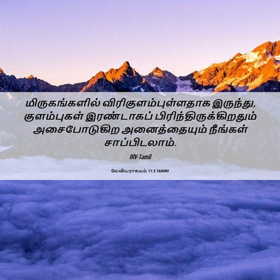 Picture 06 - லேவியராகமம் 11:3 TAMIRV - மிருகங்களில் - Bible Verse Picture