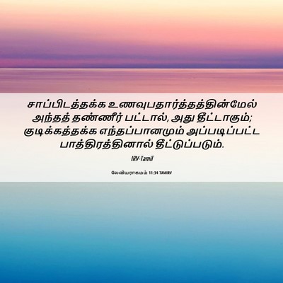 Picture 06 - லேவியராகமம் 11:34 TAMIRV - சாப்பிடத்தக்க - Bible Verse Picture