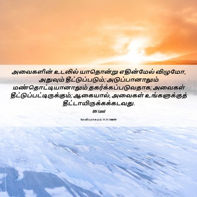 Picture 06 - லேவியராகமம் 11:35 TAMIRV - அவைகளின் உடலில் - Bible Verse Picture