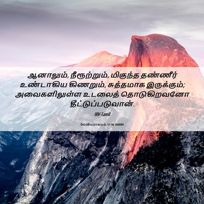 Picture 06 - லேவியராகமம் 11:36 TAMIRV - ஆனாலும், - Bible Verse Picture