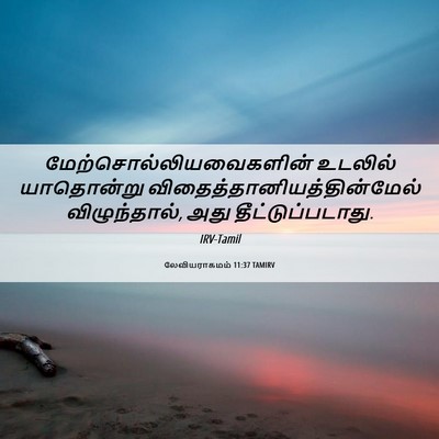 Picture 06 - லேவியராகமம் 11:37 TAMIRV -  - Bible Verse Picture