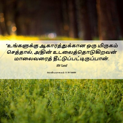 Picture 06 - லேவியராகமம் 11:39 TAMIRV - “உங்களுக்கு - Bible Verse Picture