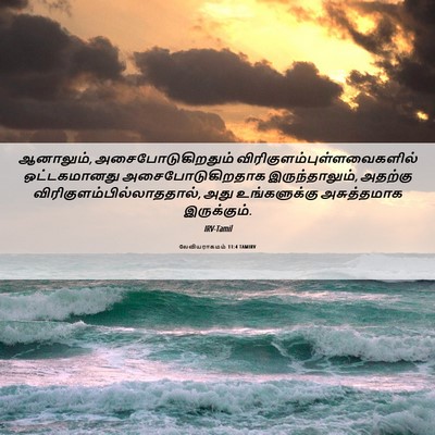 Picture 06 - லேவியராகமம் 11:4 TAMIRV - ஆனாலும், - Bible Verse Picture