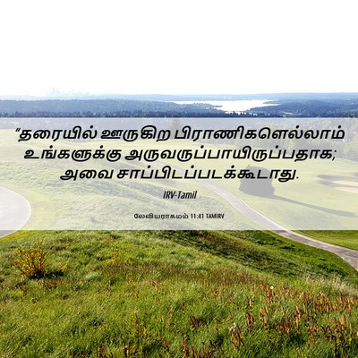 Picture 06 - லேவியராகமம் 11:41 TAMIRV - “தரையில் ஊருகிற - Bible Verse Picture