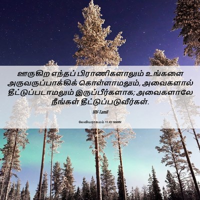 Picture 06 - லேவியராகமம் 11:43 TAMIRV - ஊருகிற எந்தப் - Bible Verse Picture