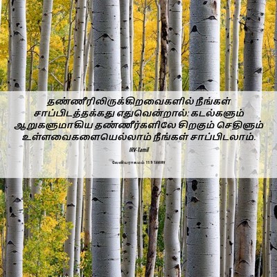 Picture 06 - லேவியராகமம் 11:9 TAMIRV -  - Bible Verse Picture
