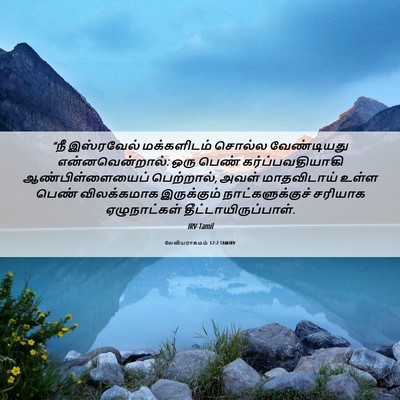 Picture 06 - லேவியராகமம் 12:2 TAMIRV - “நீ இஸ்ரவேல் - Bible Verse Picture