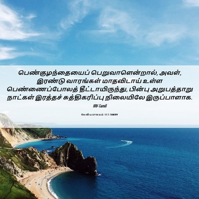 Picture 06 - லேவியராகமம் 12:5 TAMIRV - பெண்குழந்தையைப் - Bible Verse Picture