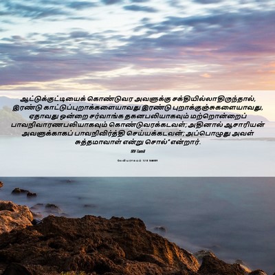 Picture 06 - லேவியராகமம் 12:8 TAMIRV -  - Bible Verse Picture