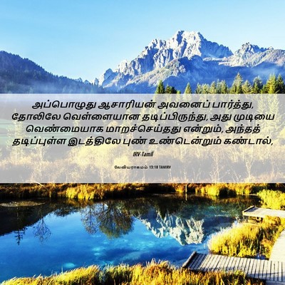 Picture 06 - லேவியராகமம் 13:10 TAMIRV - அப்பொழுது - Bible Verse Picture