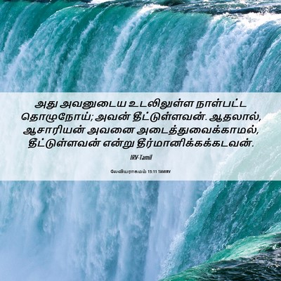 Picture 06 - லேவியராகமம் 13:11 TAMIRV - அது அவனுடைய - Bible Verse Picture