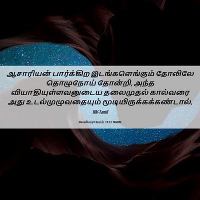 Picture 06 - லேவியராகமம் 13:12 TAMIRV - ஆசாரியன் - Bible Verse Picture