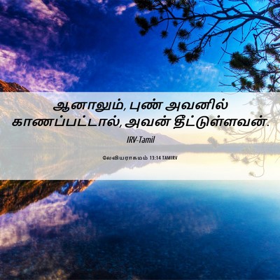 Picture 06 - லேவியராகமம் 13:14 TAMIRV - ஆனாலும், புண் - Bible Verse Picture