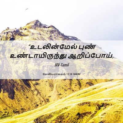 Picture 06 - லேவியராகமம் 13:18 TAMIRV - “உடலின்மேல் புண் - Bible Verse Picture