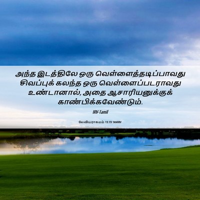 Picture 06 - லேவியராகமம் 13:19 TAMIRV - அந்த இடத்திலே ஒரு - Bible Verse Picture