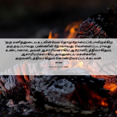 Picture 06 - லேவியராகமம் 13:2 TAMIRV - “ஒரு மனிதனுடைய - Bible Verse Picture