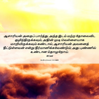 Picture 06 - லேவியராகமம் 13:20 TAMIRV - ஆசாரியன் அதைப் - Bible Verse Picture