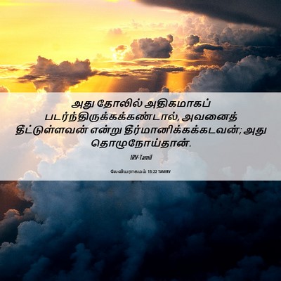 Picture 06 - லேவியராகமம் 13:22 TAMIRV - அது தோலில் - Bible Verse Picture