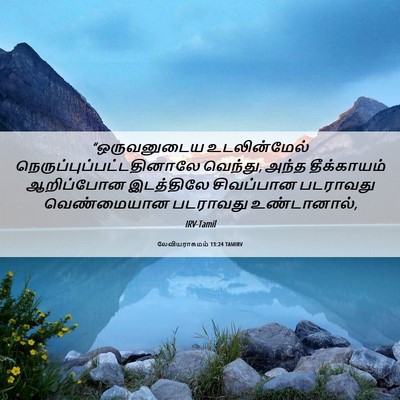 Picture 06 - லேவியராகமம் 13:24 TAMIRV - “ஒருவனுடைய - Bible Verse Picture