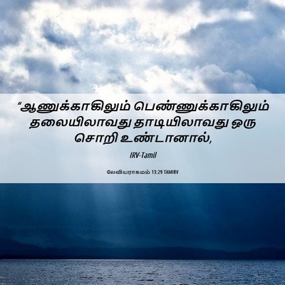 Picture 06 - லேவியராகமம் 13:29 TAMIRV - “ஆணுக்காகிலும் - Bible Verse Picture