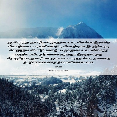 Picture 06 - லேவியராகமம் 13:3 TAMIRV - அப்பொழுது - Bible Verse Picture