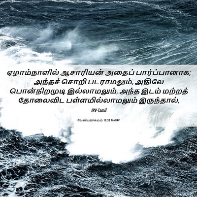 Picture 06 - லேவியராகமம் 13:32 TAMIRV - ஏழாம்நாளில் - Bible Verse Picture