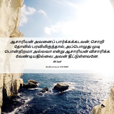 Picture 06 - லேவியராகமம் 13:36 TAMIRV - ஆசாரியன் அவனைப் - Bible Verse Picture
